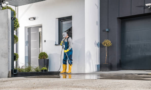 Best Dumpster Area Cleaning  in Buffalo, NY